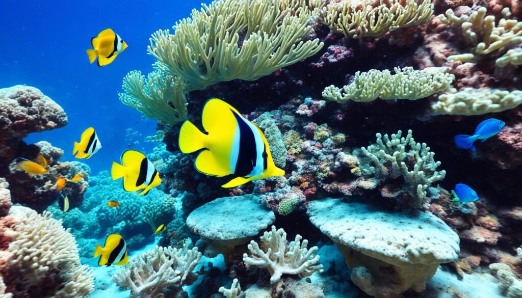 ultimate snorkeling and diving experiences in Sharm El Sheikh ultimate snorkeling and diving experiences in Sharm El Sheikh