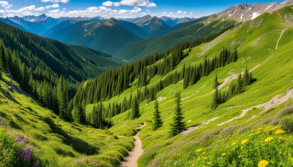 Best Hiking Spots Best Hiking Spots