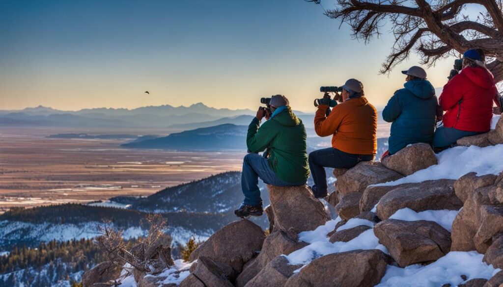 Birdwatching in Colorado Springs Birdwatching in Colorado Springs