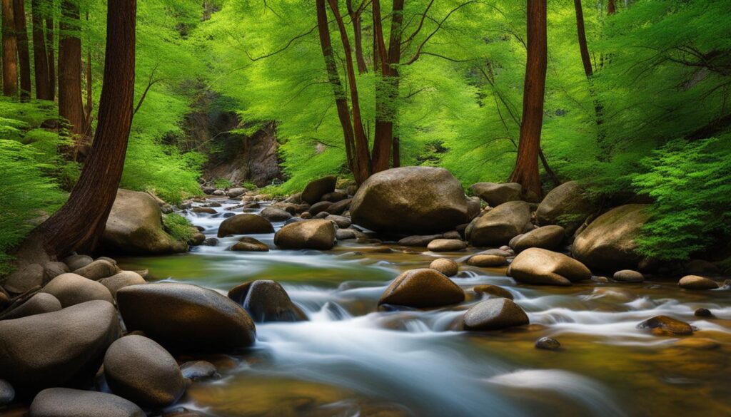 Boulder Creek Path Boulder Creek Path