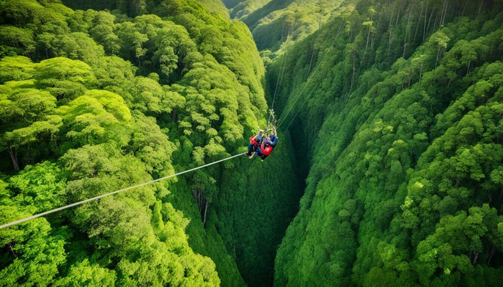 Canopy Tour in Kauai's Rainforest Canopies Canopy Tour in Kauai's Rainforest Canopies