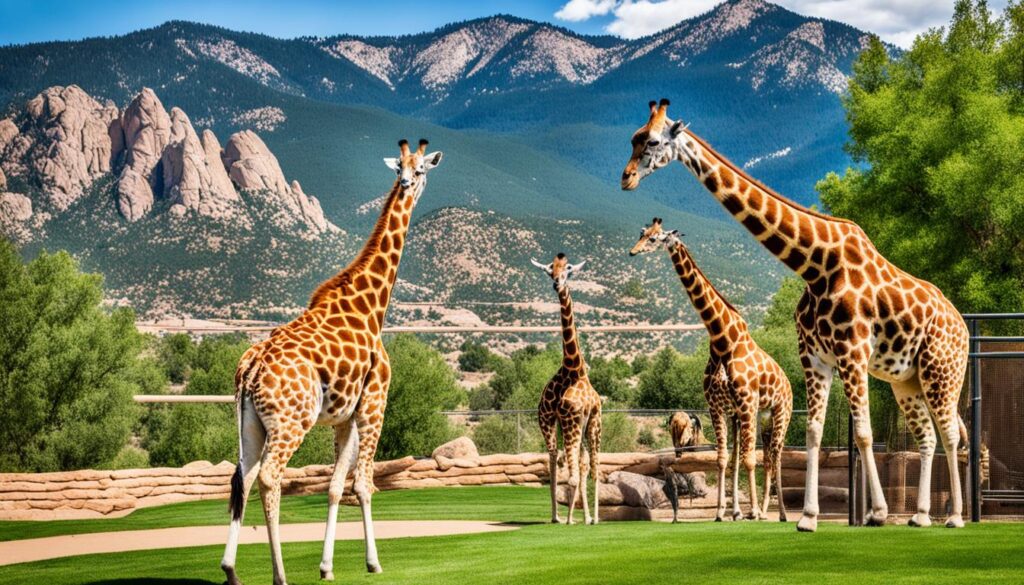 Cheyenne Mountain Zoo Cheyenne Mountain Zoo