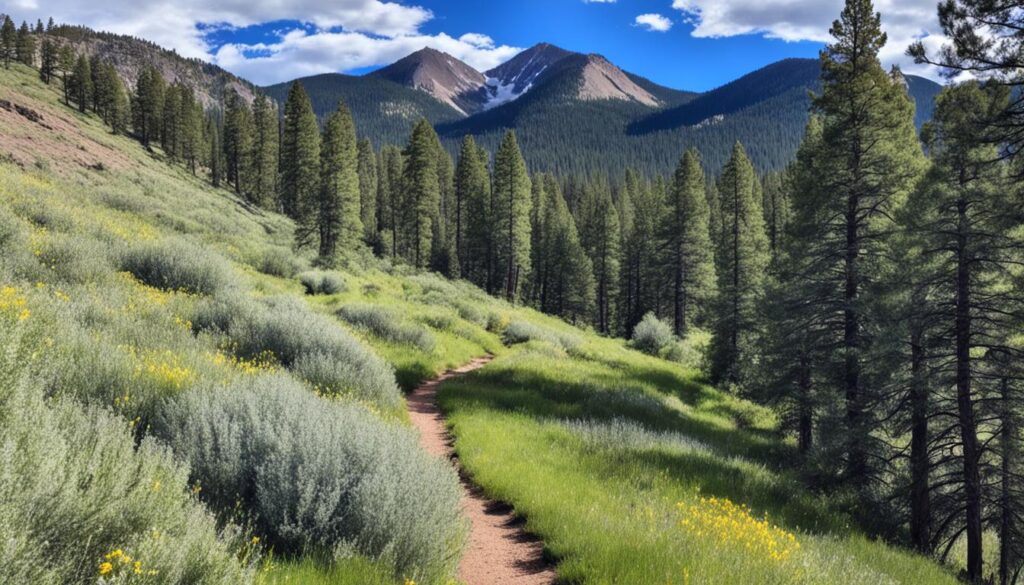 Easy hiking trails Flagstaff Easy hiking trails Flagstaff