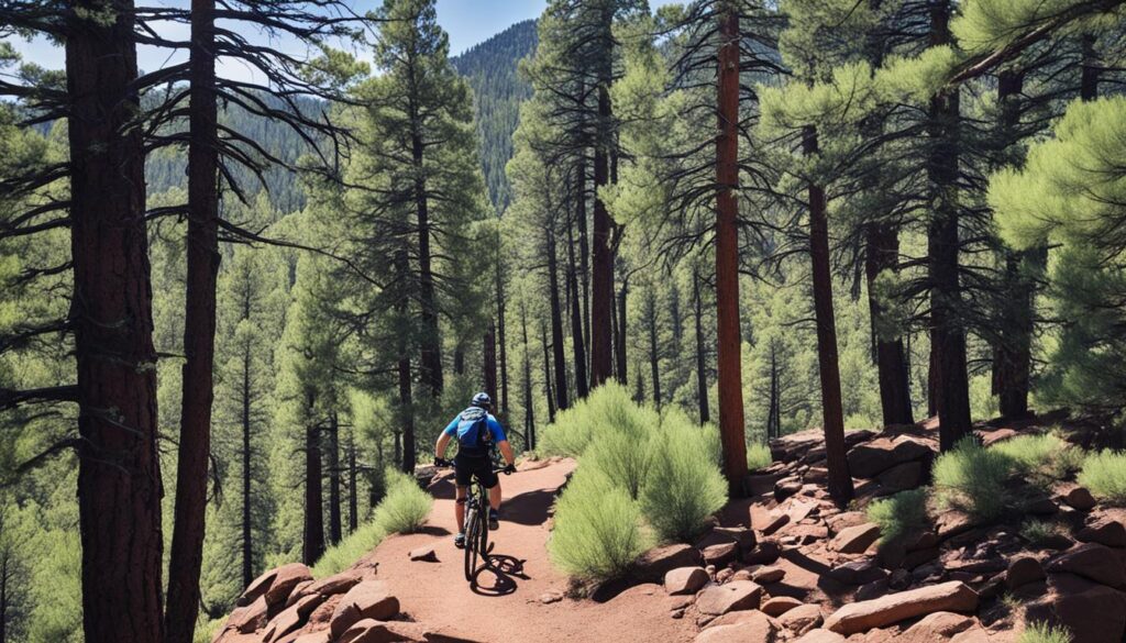 Flagstaff day trips Flagstaff day trips