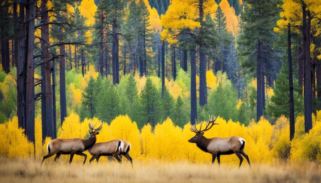 Flagstaff wildlife Flagstaff wildlife