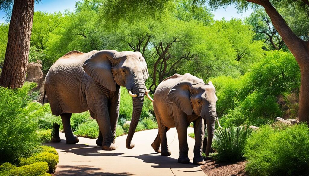 Fort Worth Zoo Fort Worth Zoo