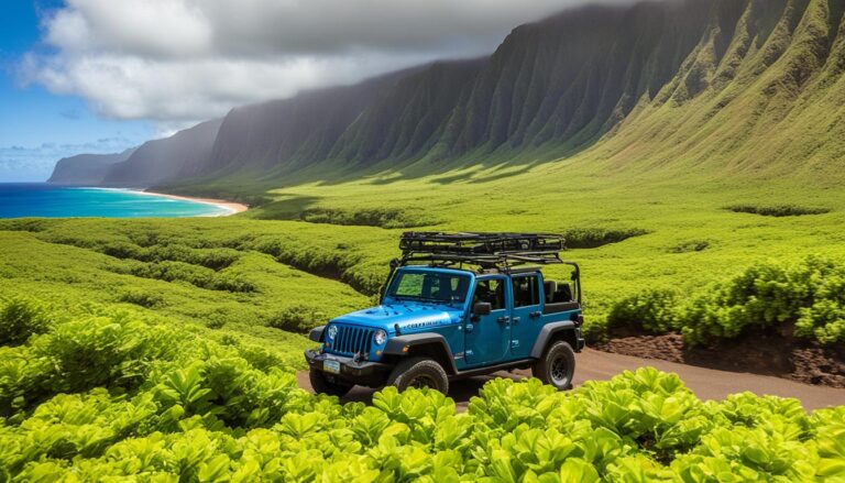 How do I travel around Molokai?