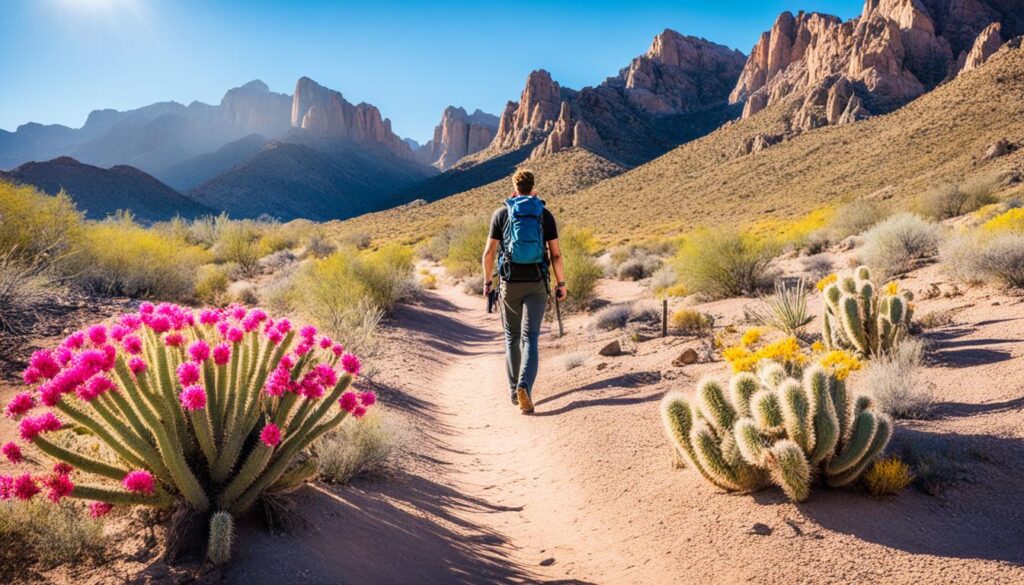 Ideal time to explore Tucson Ideal time to explore Tucson