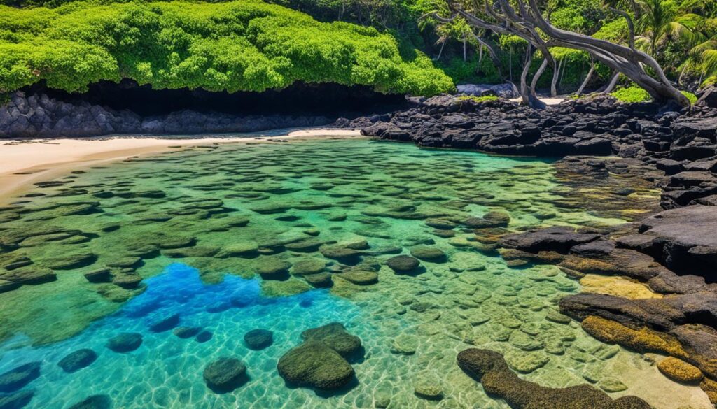 Kahala Beach tide pools Kahala Beach tide pools