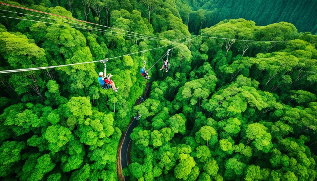 Kauai Zipline Tours Kauai Zipline Tours