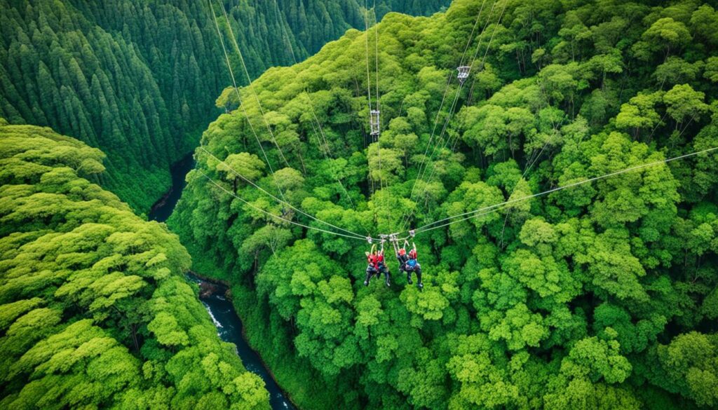 Kauai zipline tours through rainforest Kauai zipline tours through rainforest