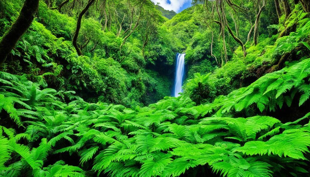 Maui hiking trails waterfalls Maui hiking trails waterfalls