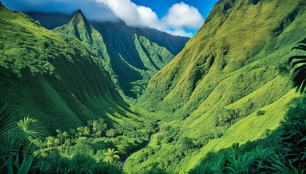 Menehune Ditch in Kauai Menehune Ditch in Kauai