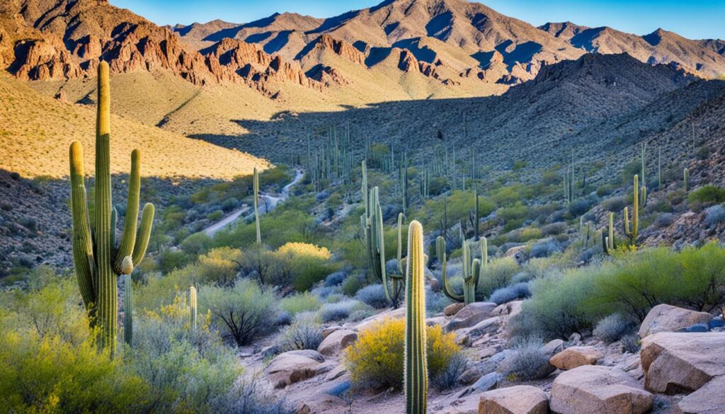Outdoor Adventures at South Mountain Park Outdoor Adventures at South Mountain Park