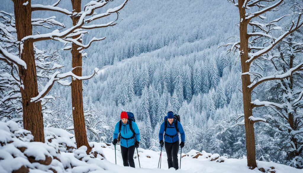 Outdoor winter activities in Denver Outdoor winter activities in Denver