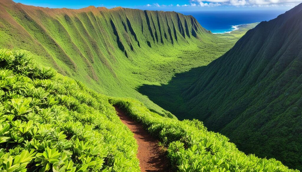 Pu'u Ali'i Trail Pu'u Ali'i Trail