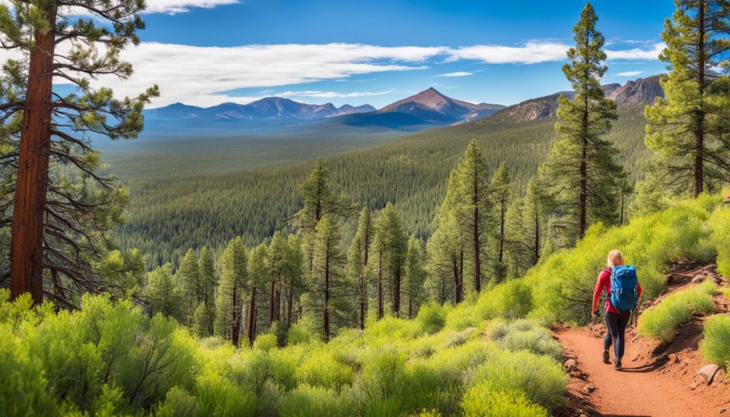 Scenic hikes near Flagstaff Scenic hikes near Flagstaff