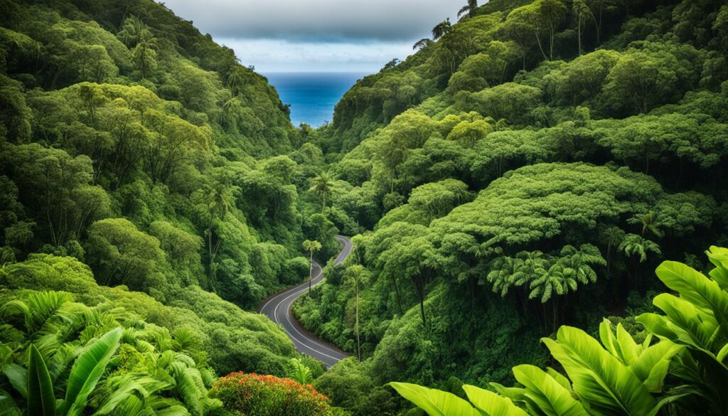 Scenic spots on Road to Hana Scenic spots on Road to Hana