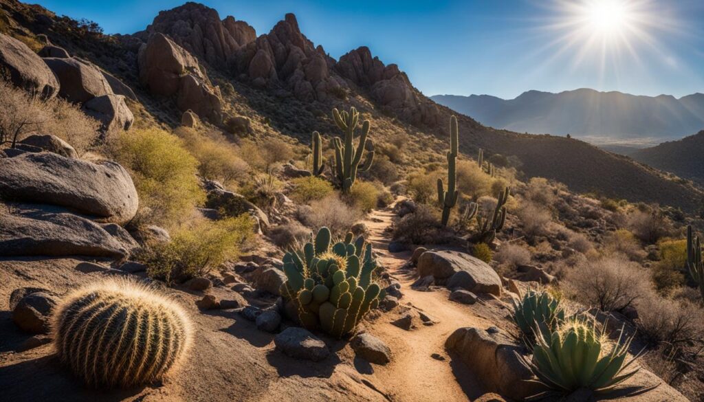 Scottsdale Hiking Destinations Scottsdale Hiking Destinations