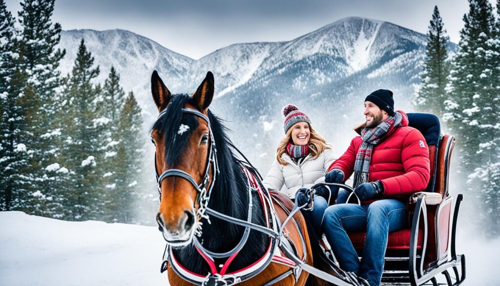 Sleigh Rides in Aspen Sleigh Rides in Aspen