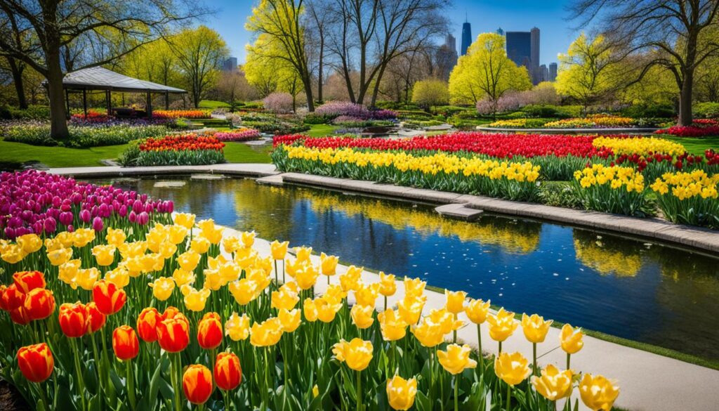 Spring blooms in Chicago Botanic Garden Spring blooms in Chicago Botanic Garden