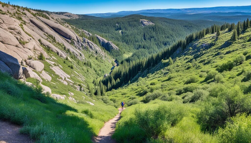 beginner-friendly hiking trail near Colorado Springs beginner-friendly hiking trail near Colorado Springs