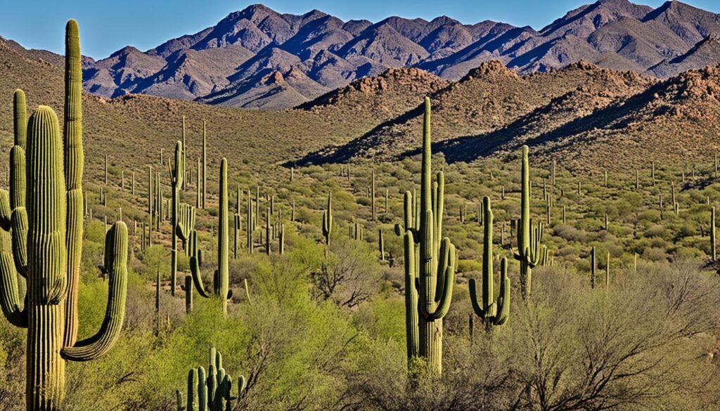 best road trips from Phoenix to Tucson best road trips from Phoenix to Tucson