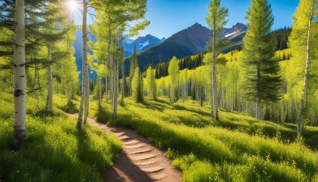 breathtaking Aspen trails breathtaking Aspen trails