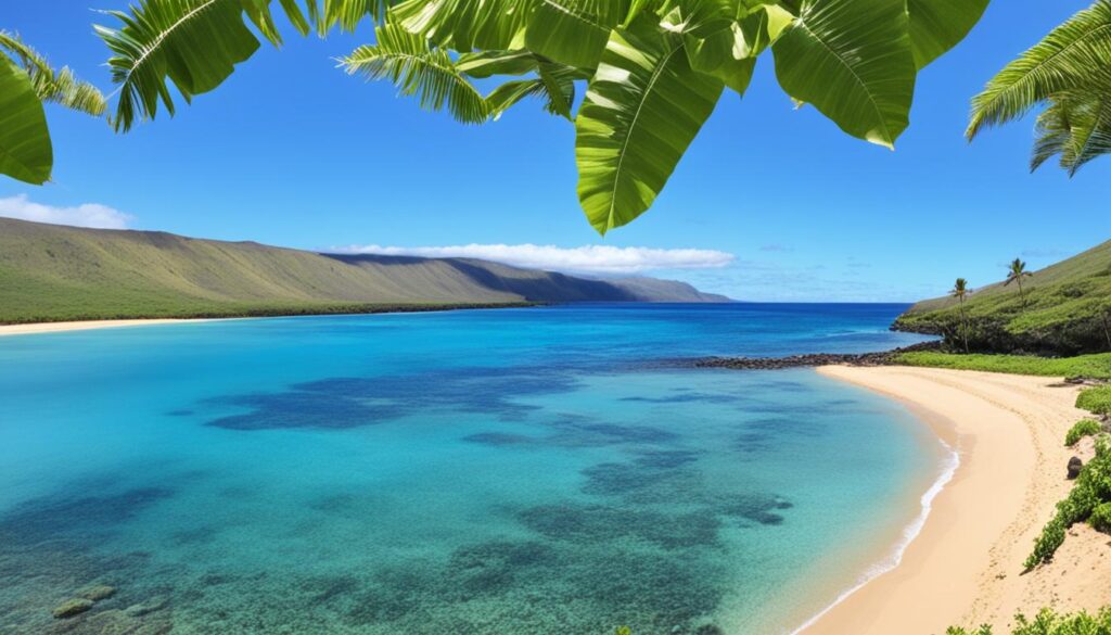 green travel Molokai green travel Molokai