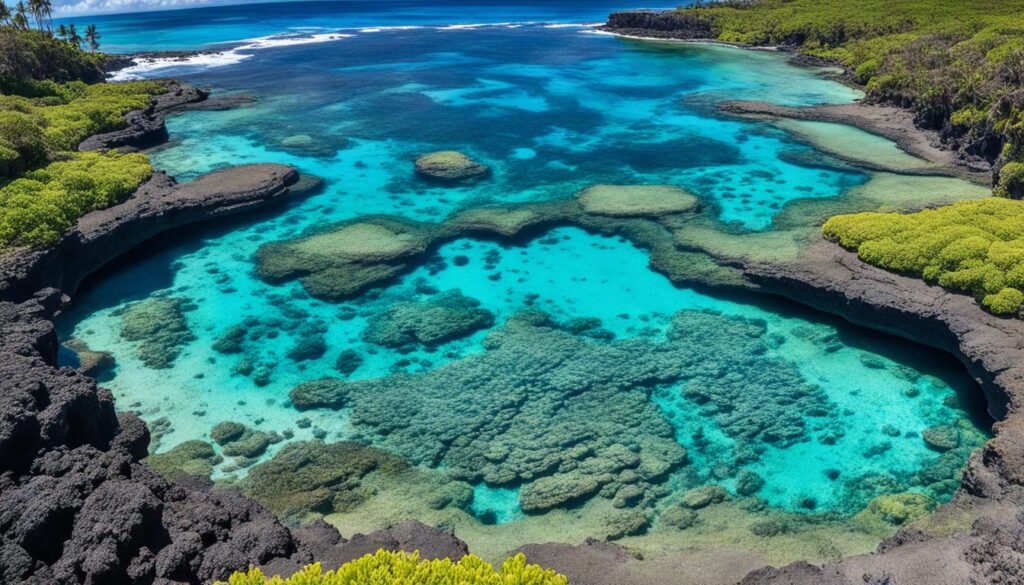 hidden snorkeling gem hidden snorkeling gem