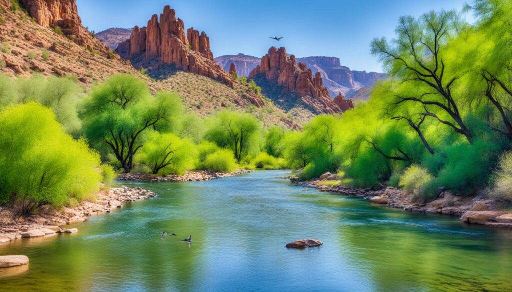 nature reserves in Phoenix nature reserves in Phoenix