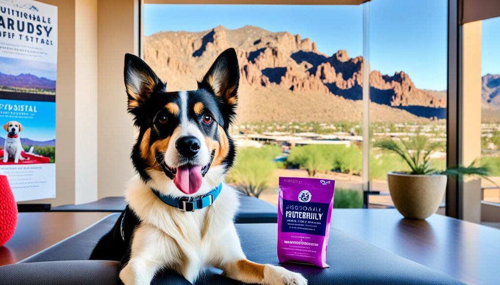 pet-friendly activities and hotels in Scottsdale pet-friendly activities and hotels in Scottsdale