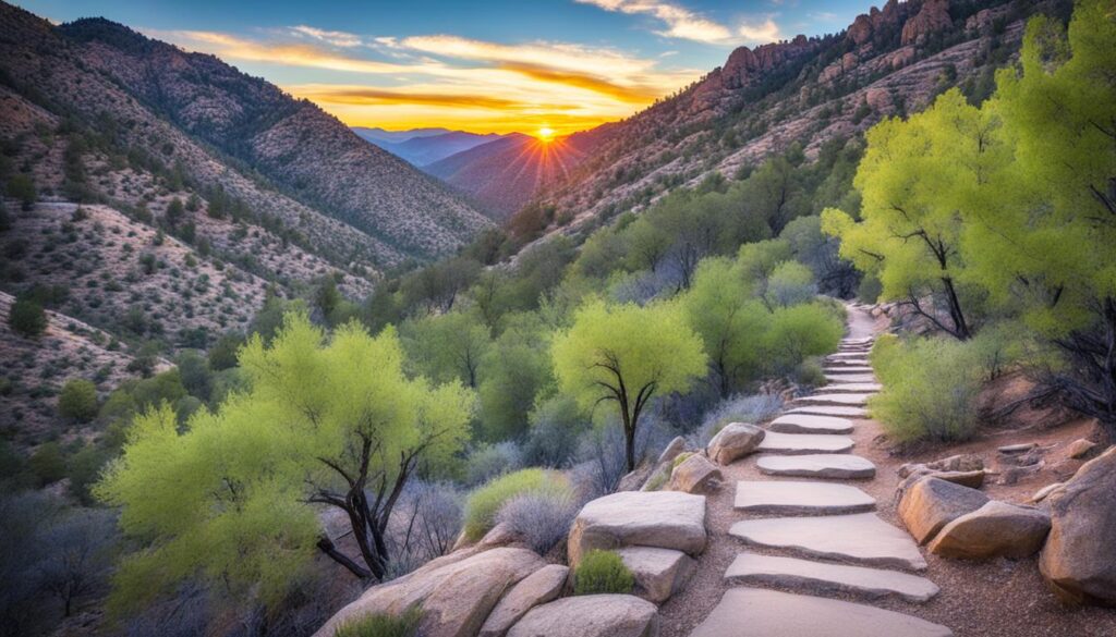 recommended photography spots on Mount Lemmon recommended photography spots on Mount Lemmon