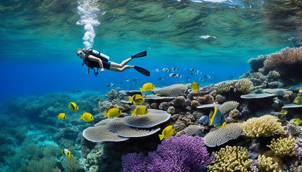 snorkeling in Kealakekua Bay snorkeling in Kealakekua Bay
