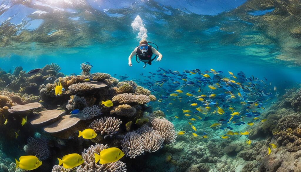 top snorkeling spots in Honolulu top snorkeling spots in Honolulu