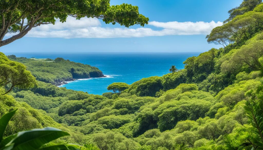 tranquil stays in Molokai tranquil stays in Molokai