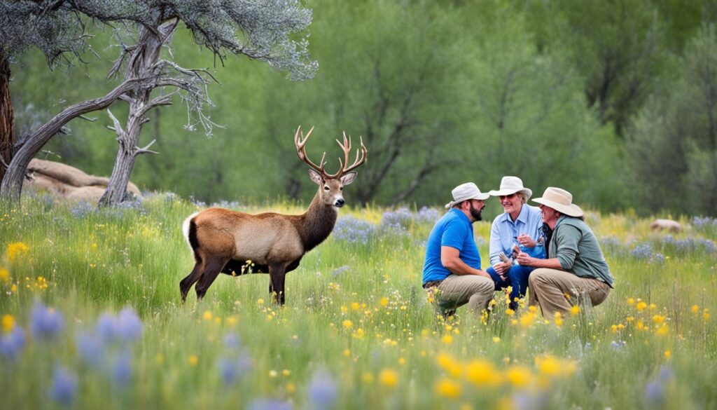 wildlife watching in Colorado Springs wildlife watching in Colorado Springs