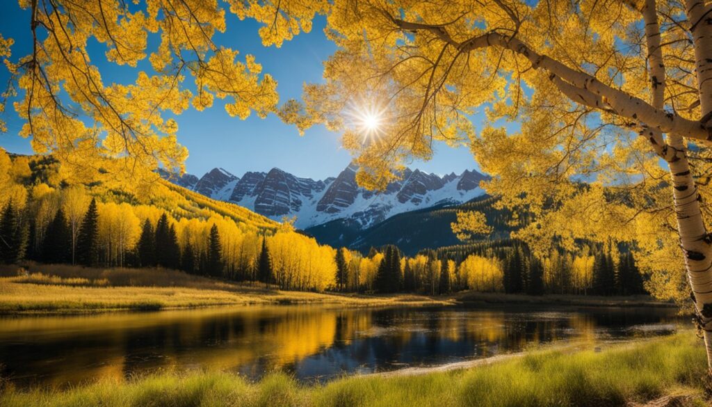 Aspen cultural experiences Aspen cultural experiences