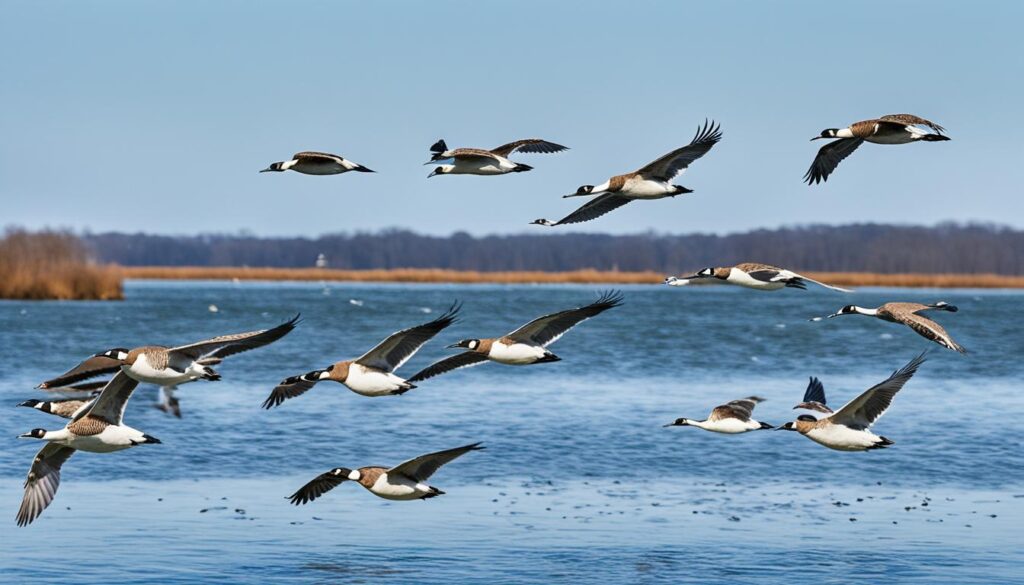 Chesapeake Bay conservation Chesapeake Bay conservation