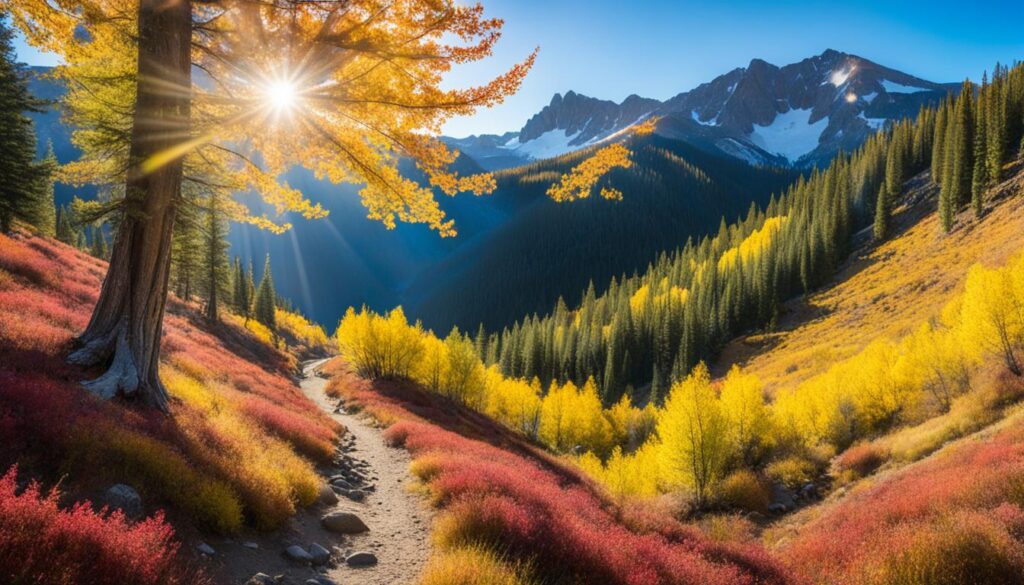 Denver area hiking trails with stunning scenery Denver area hiking trails with stunning scenery