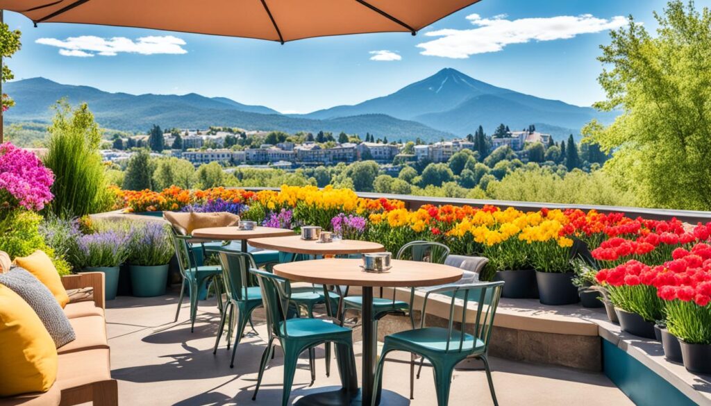 Dog-friendly cafes and outdoor activities in Vancouver Dog-friendly cafes and outdoor activities in Vancouver