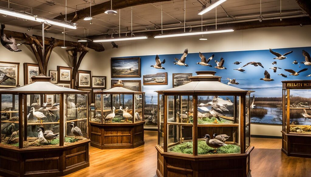 Exhibits and Displays at the Atlantic Wildfowl Heritage Museum Exhibits and Displays at the Atlantic Wildfowl Heritage Museum