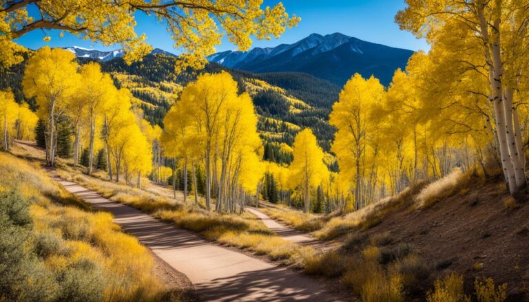 Fall foliage hikes in Colorado Springs