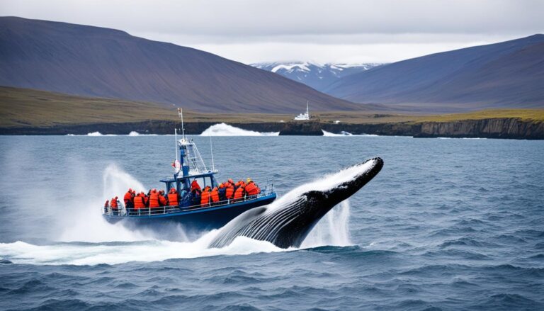 Husavik Itinerary 5 Days