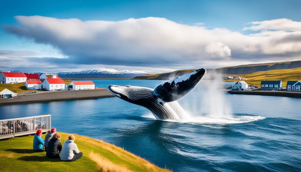 Husavik attractions Husavik attractions