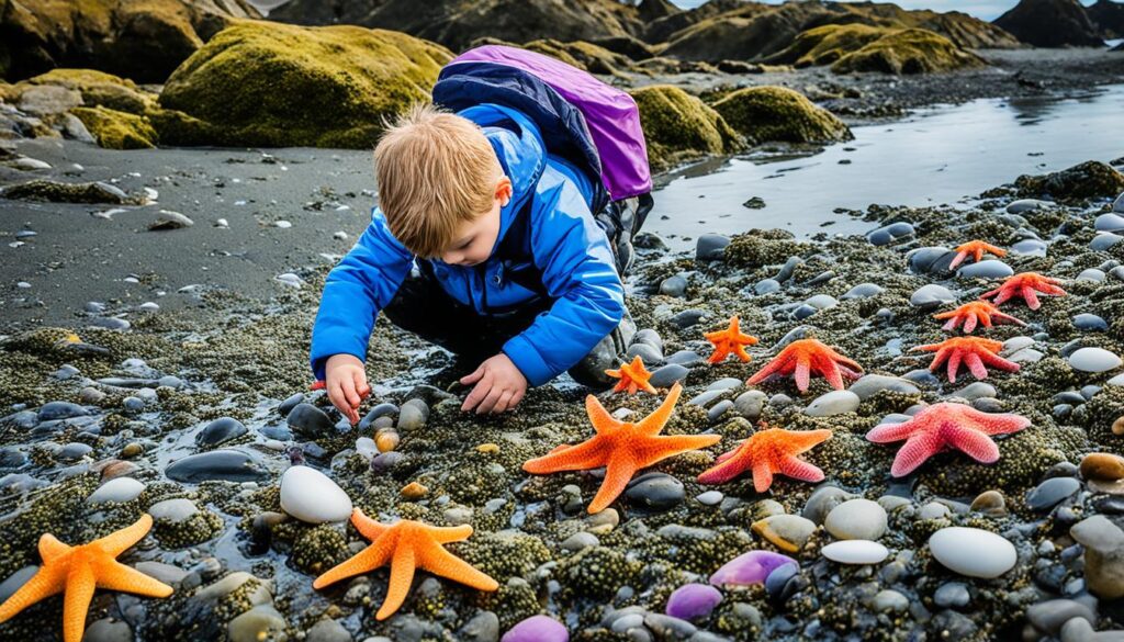 Low tide adventures Low tide adventures