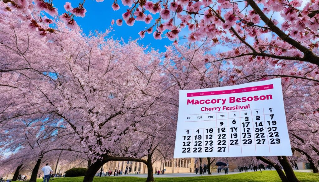Macon Cherry Blossom Festival Schedule Macon Cherry Blossom Festival Schedule
