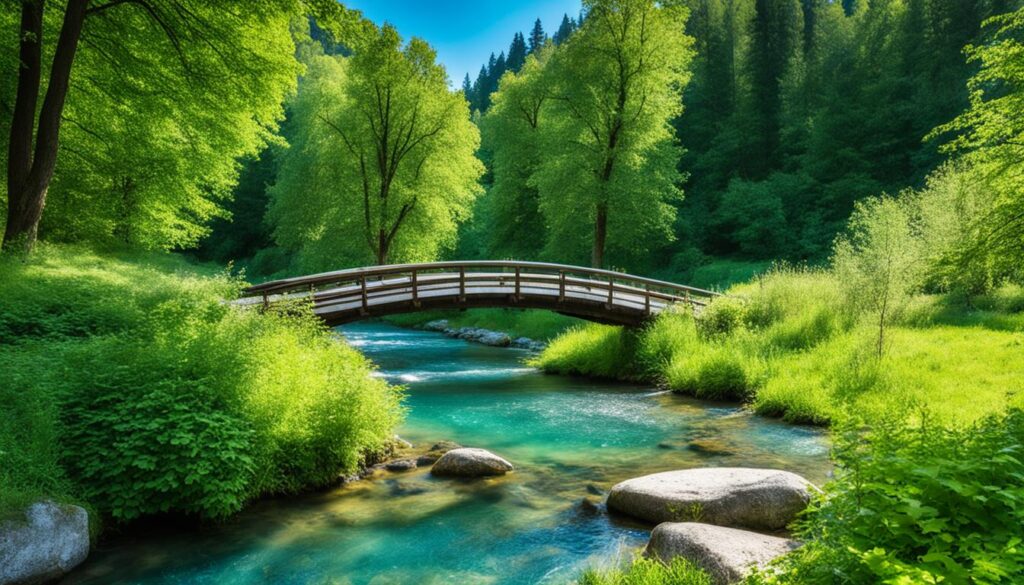 Vrelo Bosne Vrelo Bosne