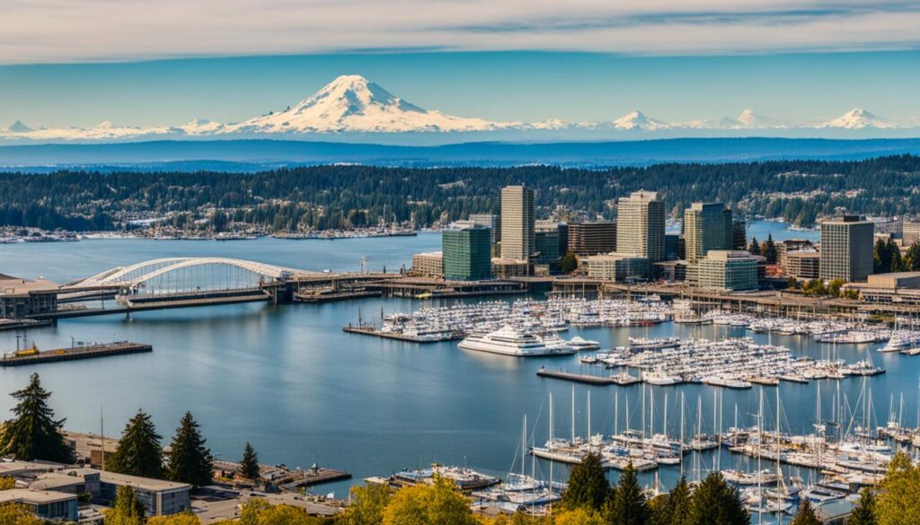 beautiful vistas Tacoma beautiful vistas Tacoma