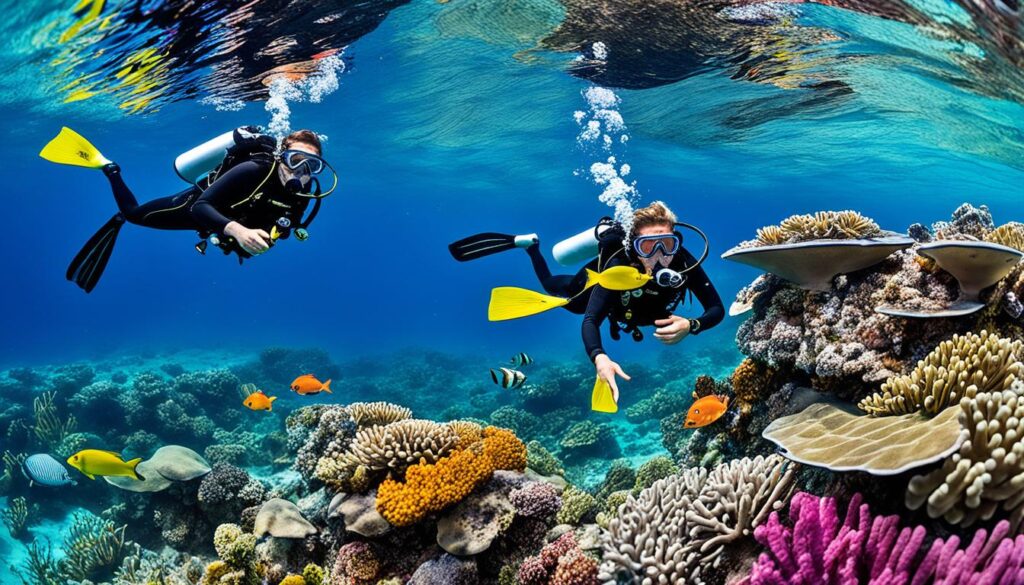 snorkel and dive packages snorkel and dive packages